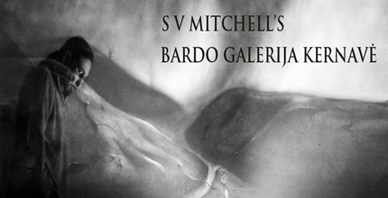 s v mitchell artist bardo gallery